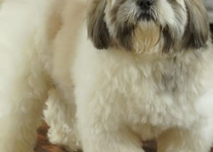 Frederico paciente com artrite