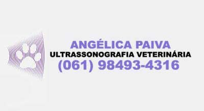 Ultrassonografia Veterinária Brasília